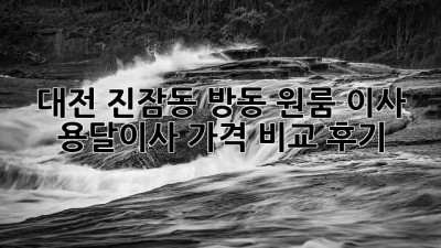 대전 진잠동 방동 원룸 이사, 용달이사 가격 비교 후기