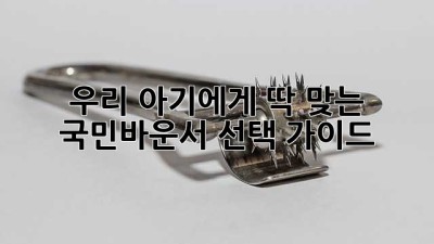 우리 아기에게 딱 맞는 국민바운서 선택 가이드